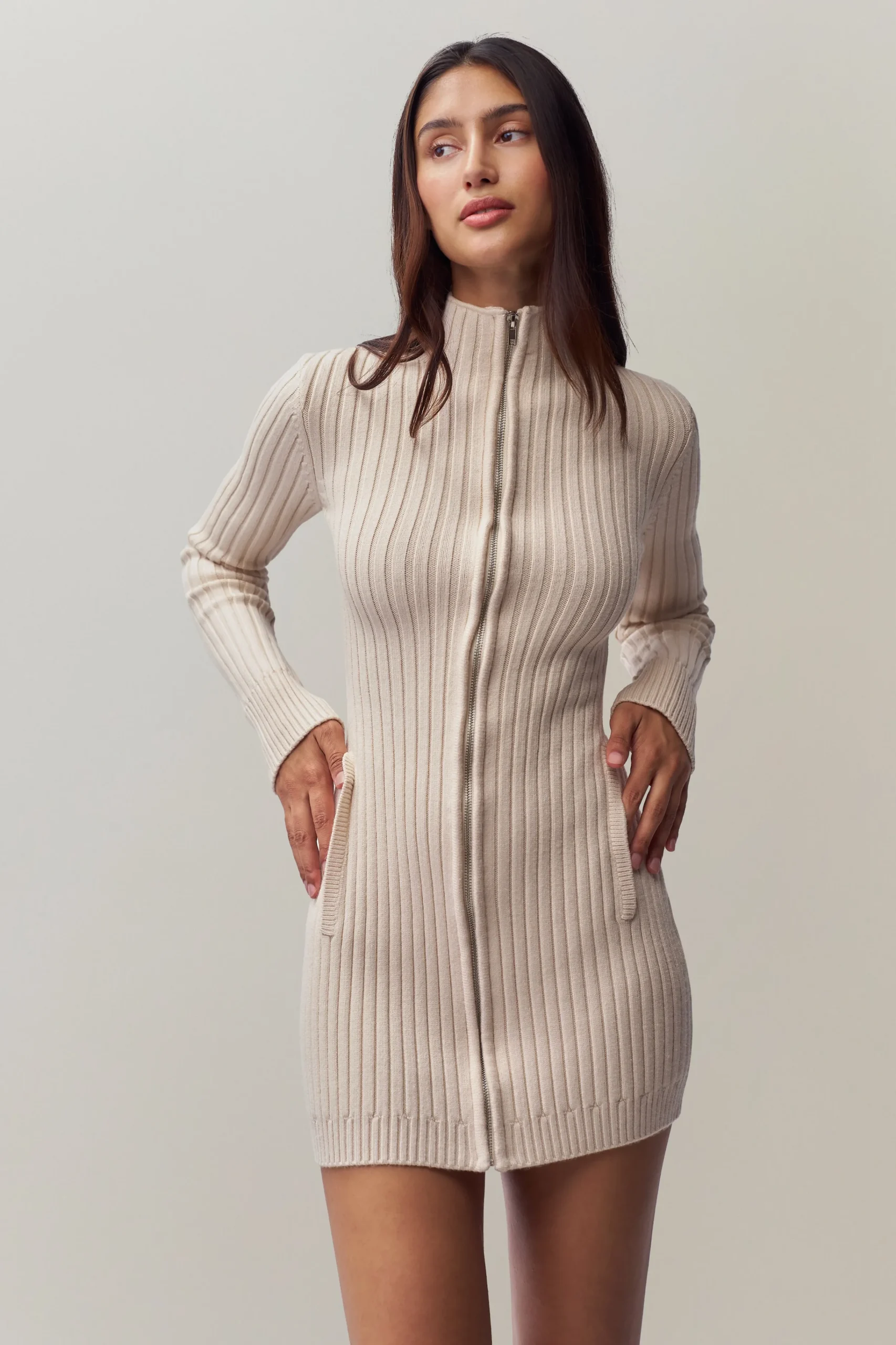 GUIZIO Nell Zip Up Dress- Mini Dresses